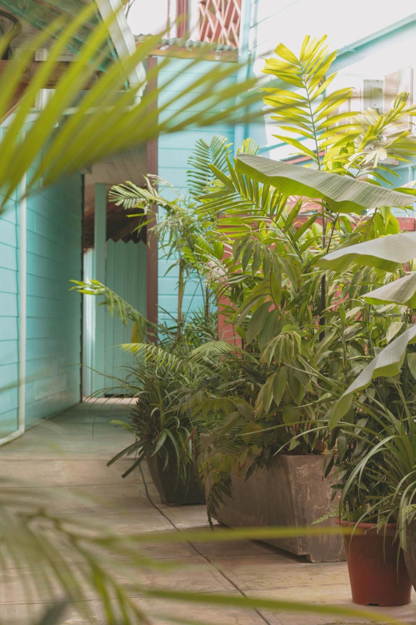 Hotel Palma Royale Bocas del Toro Exterior photo